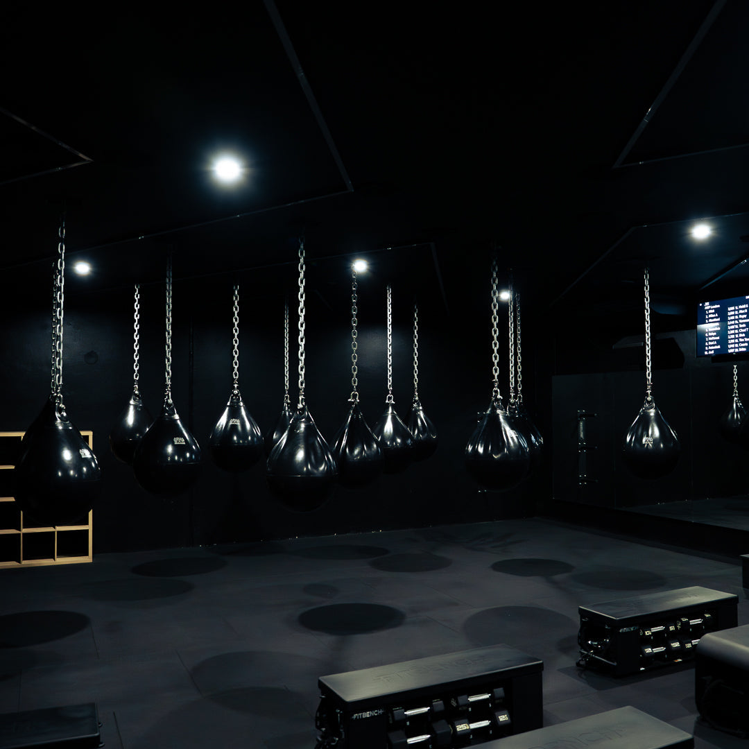 The Cost of Complexity: Why Simple AV Systems Perform Better in Fitness Spaces